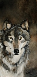 Wolf Study